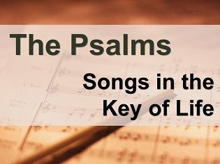 Read more about the article Psalm 19